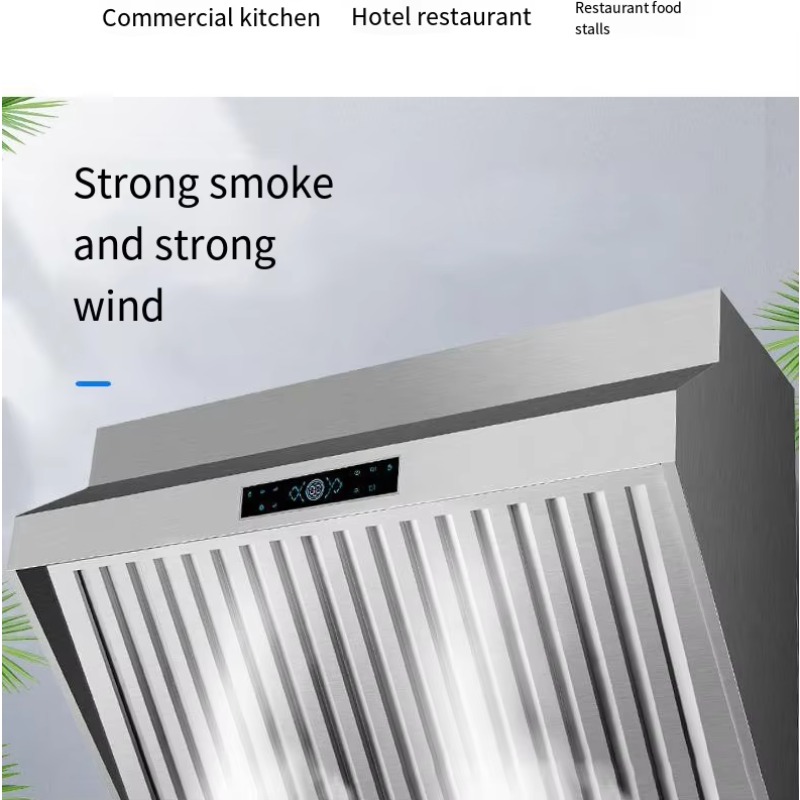 2m RVS Afzuigkap met Ventilati - Commercial Kitchen Vent Hood recensie en prijs